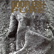 Godflesh - Pure