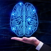 Intelligence Contributor