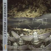 Storm of Drones - Storm of Drones
