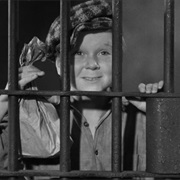 Jackie Cooper (Skippy)