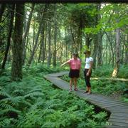 Mcrae Point Provincial Park