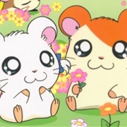 Hamtaro & Bijou