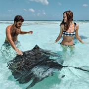 Sting Ray City, Antigua