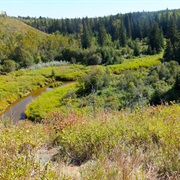 Whitemud Park and Nature Preserve