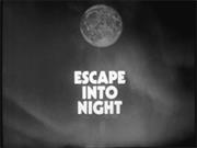 Escape Into Night