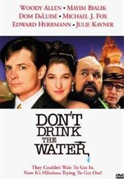 Don't Drink the Water (1994 TV Movie)