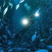 Middle Arch, Poor Knights, New Zealand