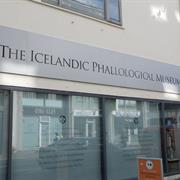 The Icelandic Phallological Museum
