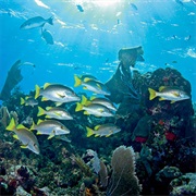 Santa Catalina Island, California