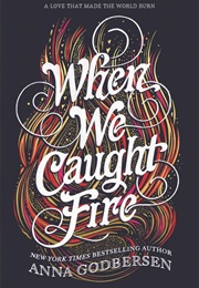 When We Caught Fire (Anna Godberson)