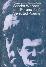 The Tower of Silence (Sandor Weores)