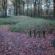 Grafheuvels Bij Veldhoven
