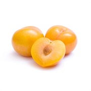 Yellow Plum