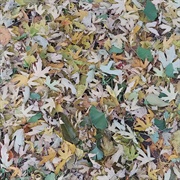 Kevin Drumm - Static Flood