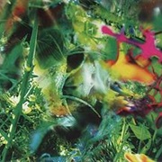 The Young Gods - Second Nature