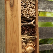 Build an Insect Hotel
