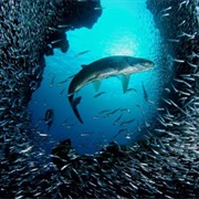 Devil's Grotto, Grand Cayman