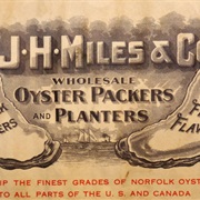 Oysters