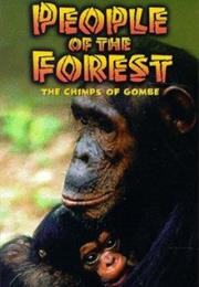 People of the Forest
