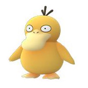 Psyduck