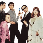 Pulp