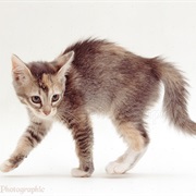 And Suddenly Want to Fight