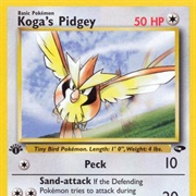 Koga's Pidgey