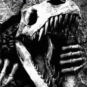 Permian Bone Creatures