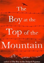 The Boy at the Top of the Mountain (John Boyne)
