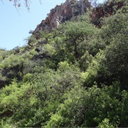 Patagonia Roadside Rest Area, Arizona