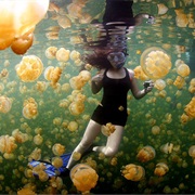 Swimming With Harmless Jellyfish in Palau