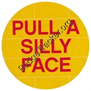 Legoland - Pull a Silly Face