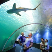 Nausicaá, Boulogne-Sur-Mer