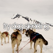 Try Dog Sledding
