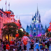 Take Wife to Disneyworld