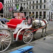 Horse Drawn Carriage From Broadway to Waldorf-Astoria