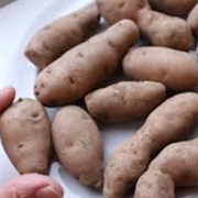 Bamberg Potato