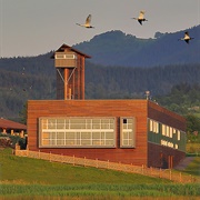 Urdaibai Bird Center, Basque Country