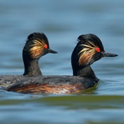 Lagunas De La Mata Y Torrevieja, Spain