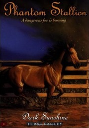 Dark Sunshine (Terri Farley)