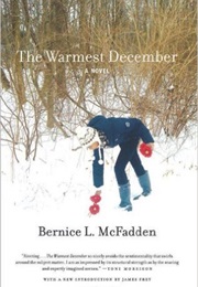 The Warmest December (Bernice McFadden)