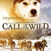 Call of the Wild