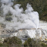 Geysers of Whakarewarewa, New Zealand