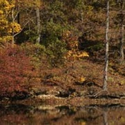 Wolf Run State Park, Ohio