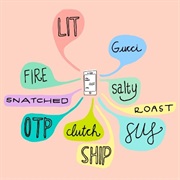 Using Excessive Slang