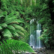 Take Care of the Earth