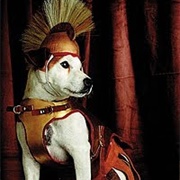 Wishbone (The Odyssey)