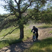 Carnegie Vehicular State Recreation Area, California