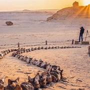 Wadi El Hitan, Egypt