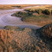 RSPB Titchwell Marsh Norfolk